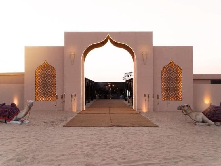 Premium Desert Safari with BBQ Dinner and Live Shows