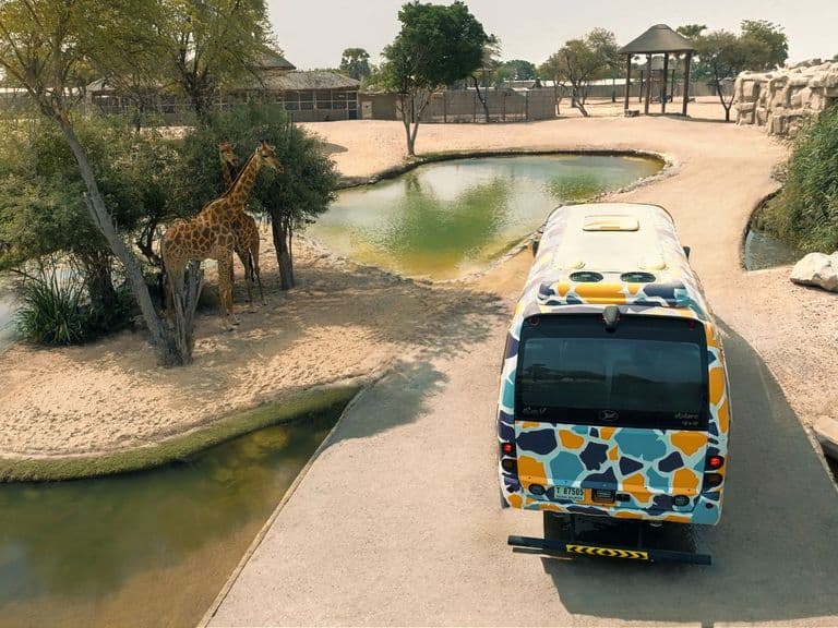 Dubai Safari Park