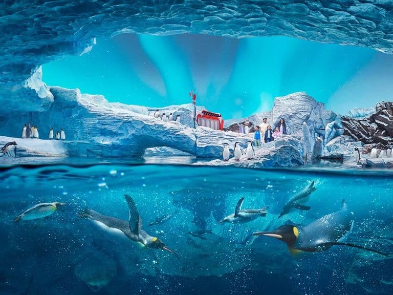 Seaworld Abu Dhabi